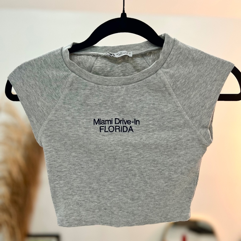 Zara embroidered grey short sleeve crop top Sz S